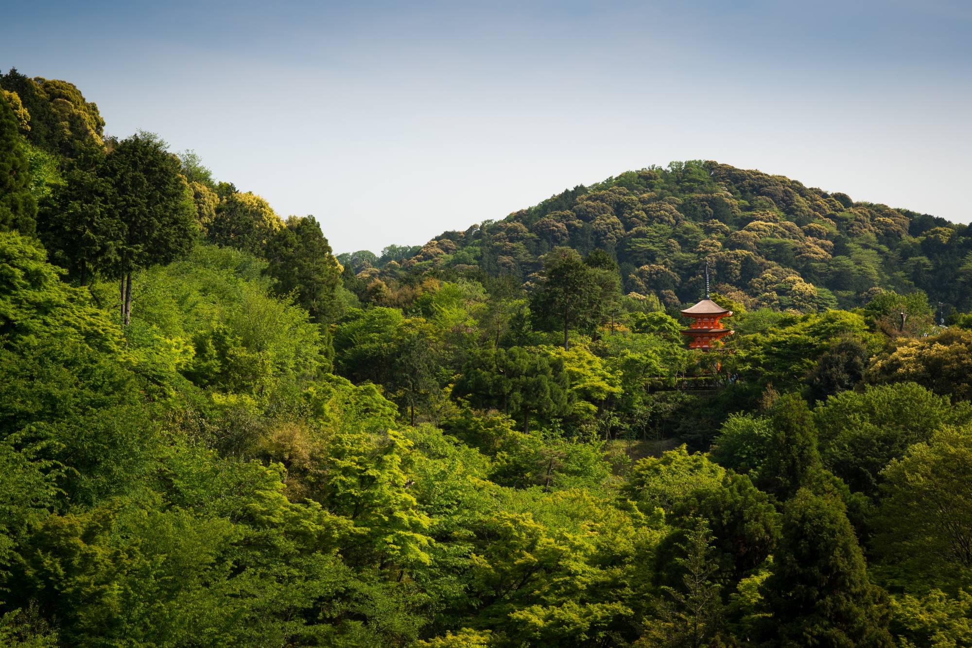 Kyoto 2013