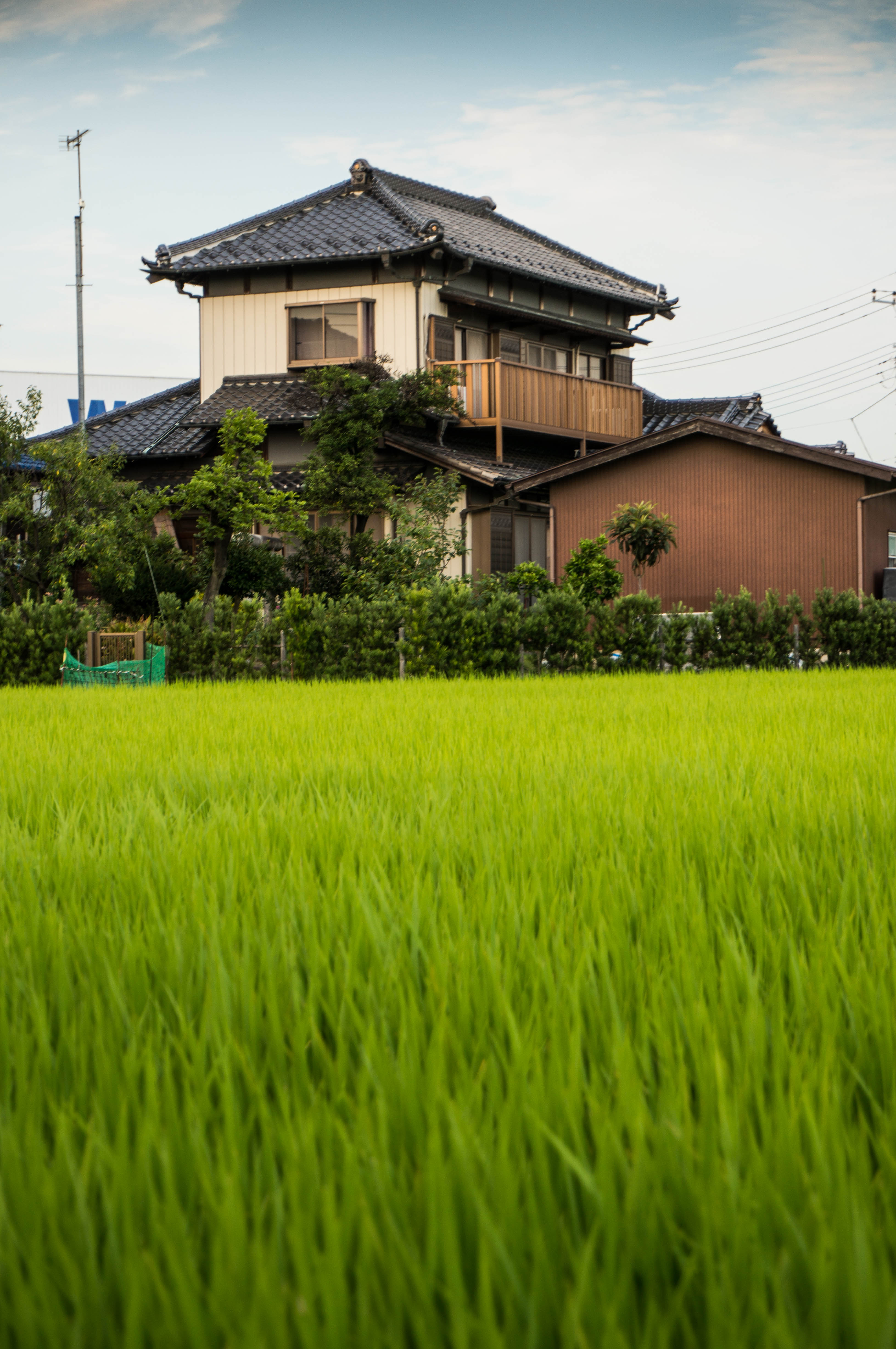 Kasukabe 2014